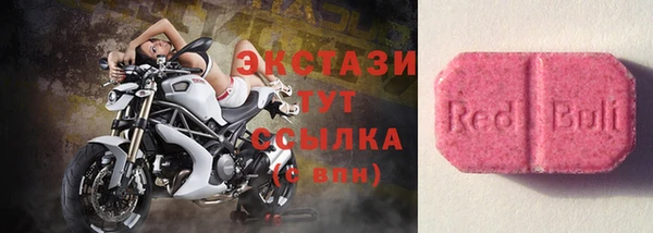 гидра Вяземский