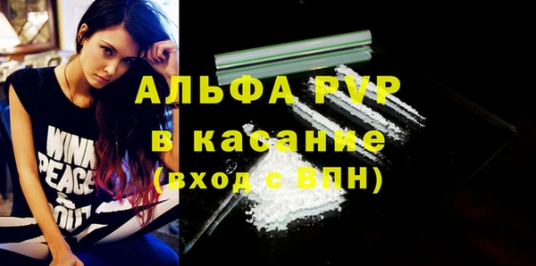 гидра Вяземский