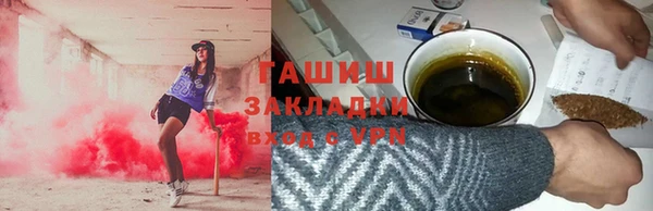 гидра Вяземский