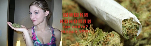 гидра Вяземский