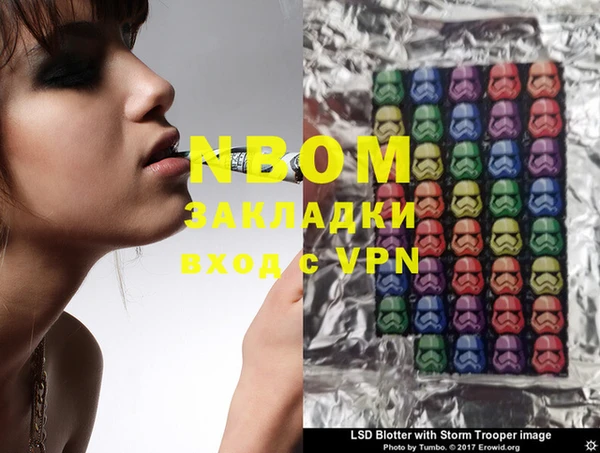 гидра Вяземский