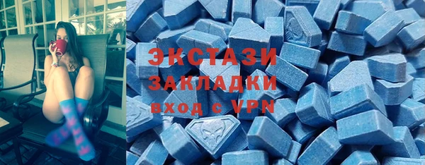 гидра Вяземский