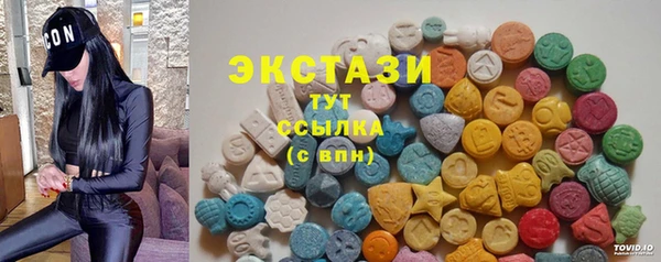 гидра Вяземский