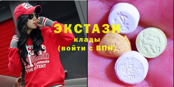 гидра Вяземский