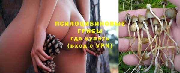 бошки Вязники